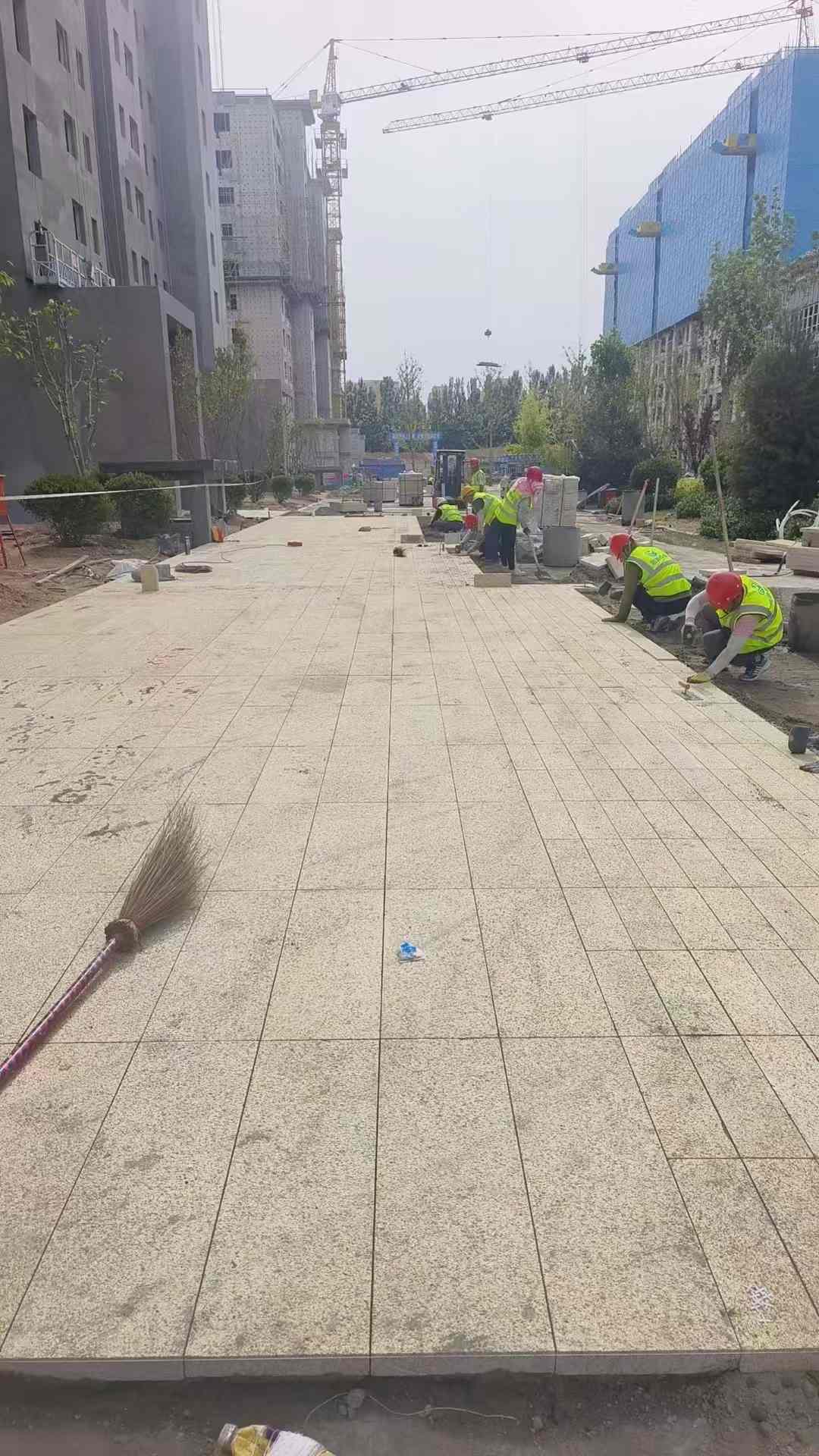 福州黄金麻荔枝面地铺案例