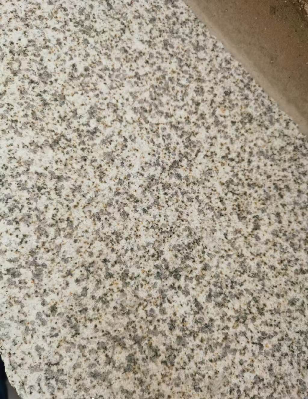 福州 黄金麻中黄光面